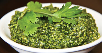 cilantro pesto recipe