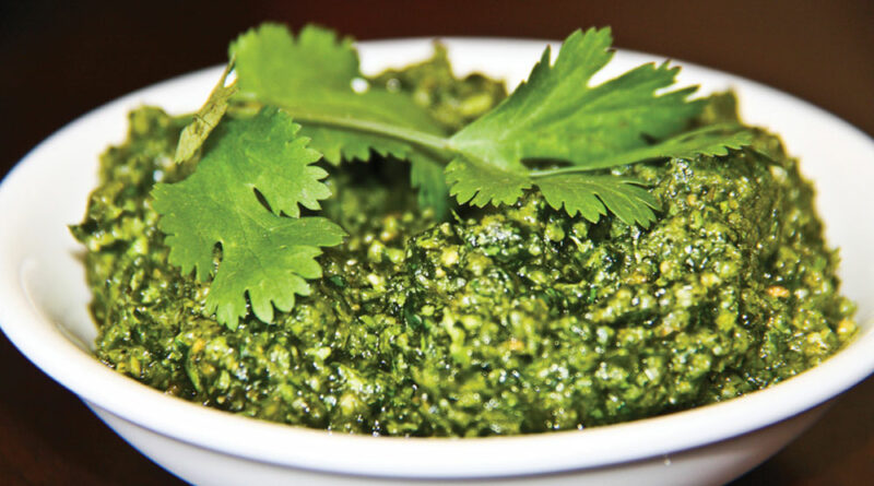 cilantro pesto recipe