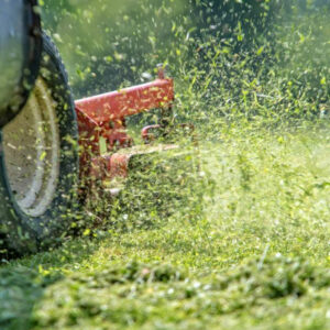 leave grass clipping on the lawn in fall