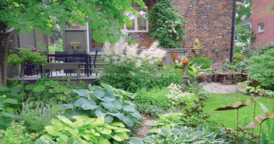 Lucille Crighton's Garden