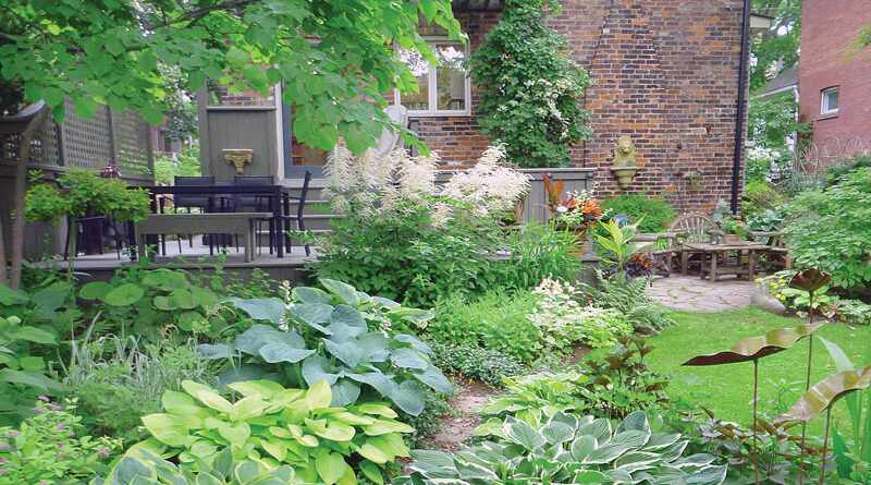 Lucille Crighton's Garden