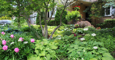 Michaela's Ontario Garden