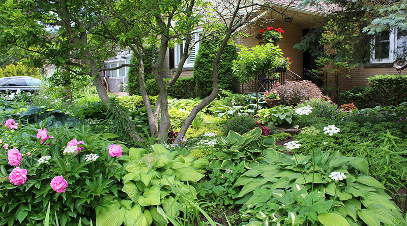 Michaela's Ontario Garden