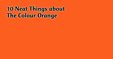 10 Neat Things about the colour orange