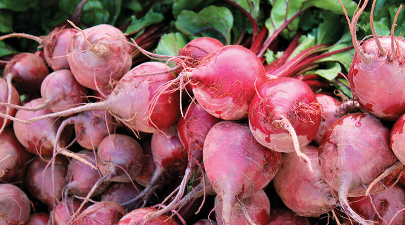 beet roots