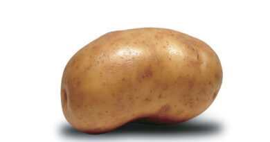 potato