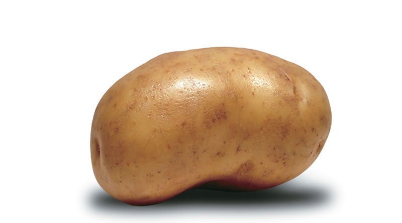 potato
