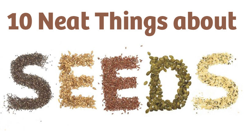 10 neat things about seeds