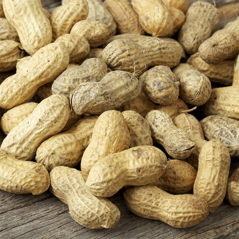 peanuts
