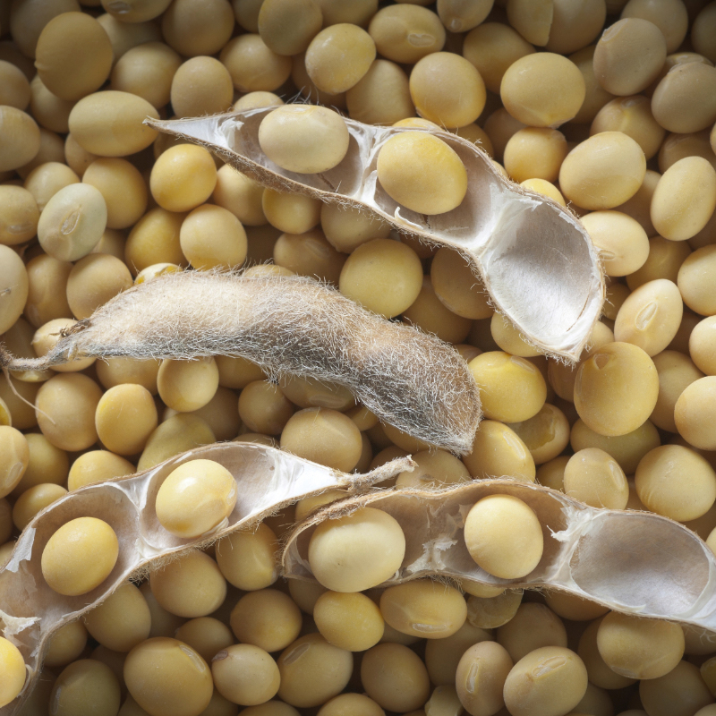 Soybeans