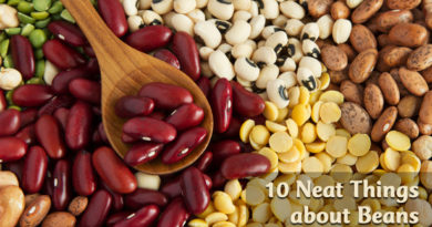 10 Neat Things about beans