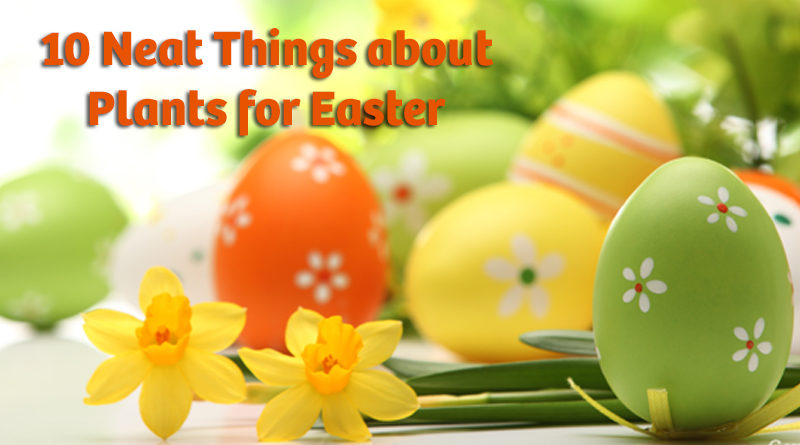 10 Neat Things about Plants for Easter