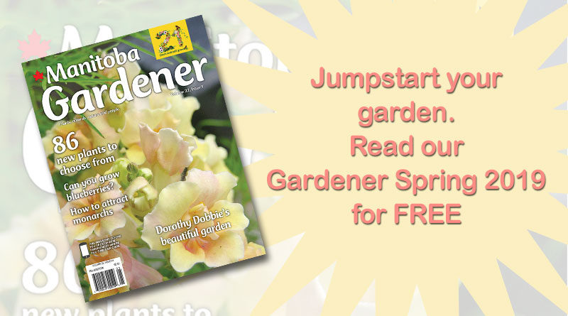Spring Gardener