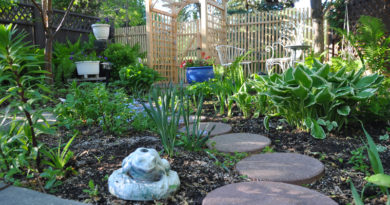 planning your first garden