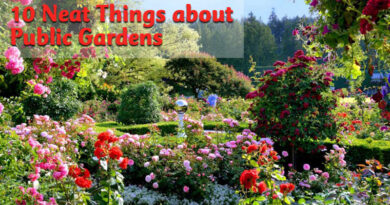 10 neat things about public gardens