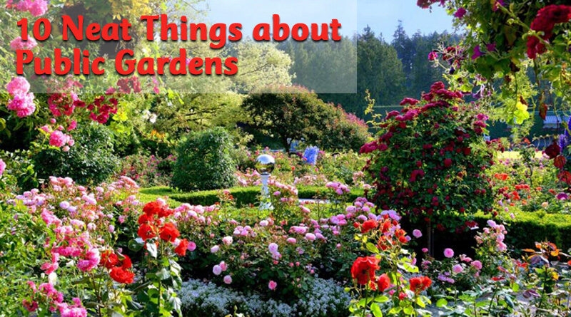 10 neat things about public gardens