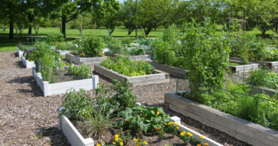 build your own victory garden