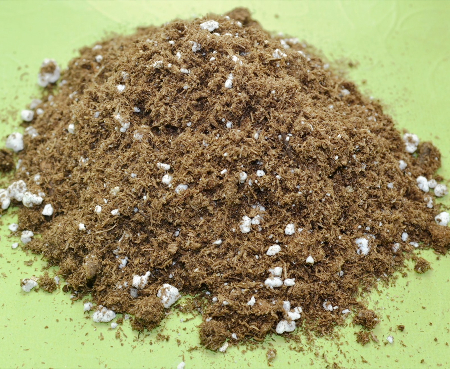 Potting mix with perlite watering plants