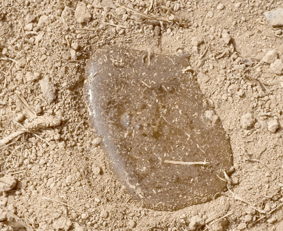 Soil repelling water