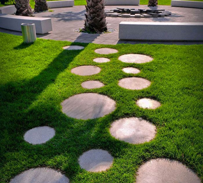 turf grass
