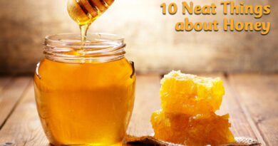 10 neat things about honey