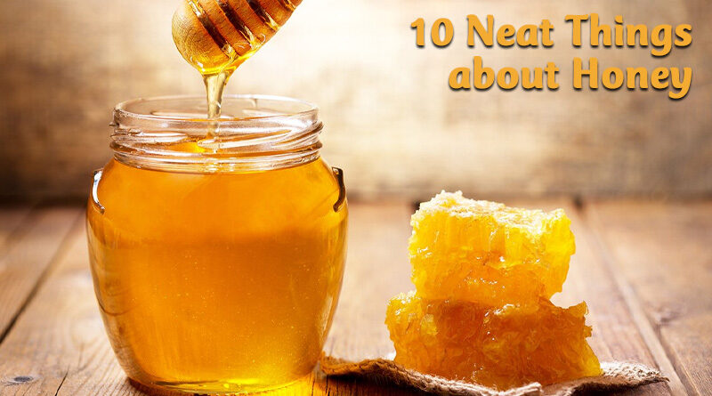 10 neat things about honey