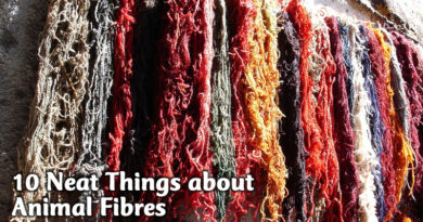 10 Neat Things about animal fibres