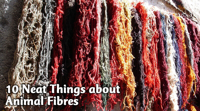 10 Neat Things about animal fibres