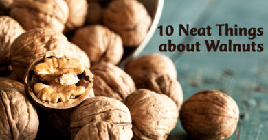 10 Neat Things about walnuts