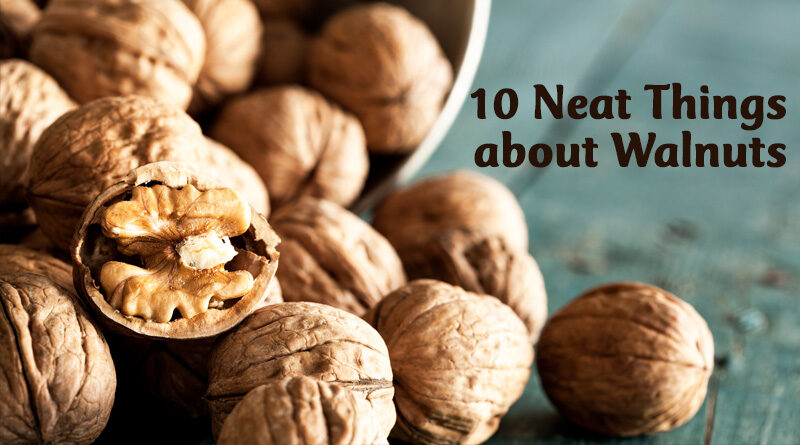 10 Neat Things about walnuts