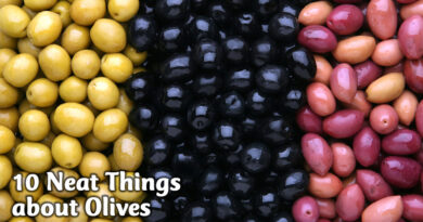 10 Neat Things about Olives