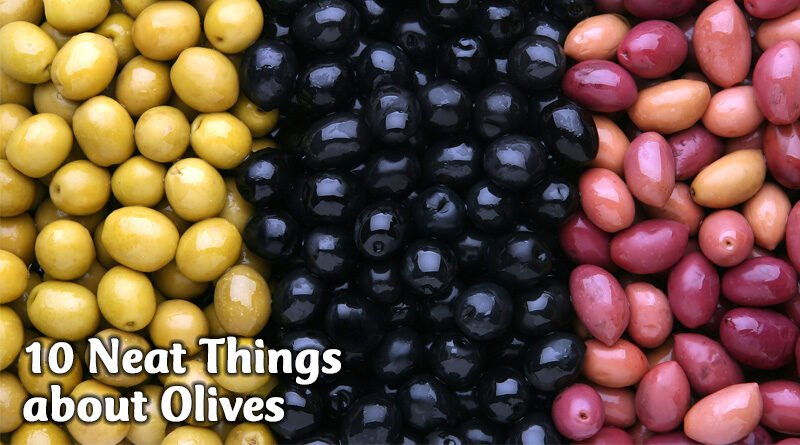 10 Neat Things about Olives