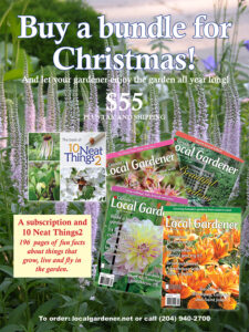 Christmas gift bundle
