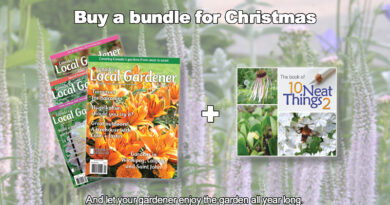 Christmas gift bundle