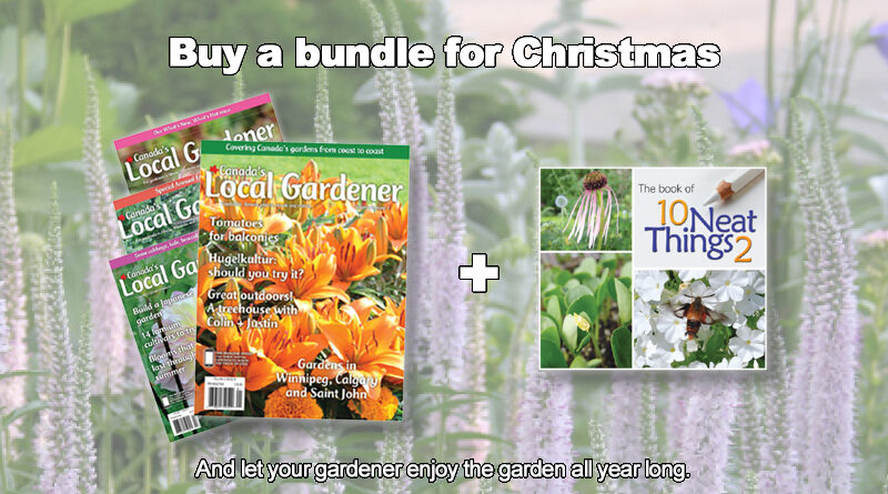 Christmas gift bundle