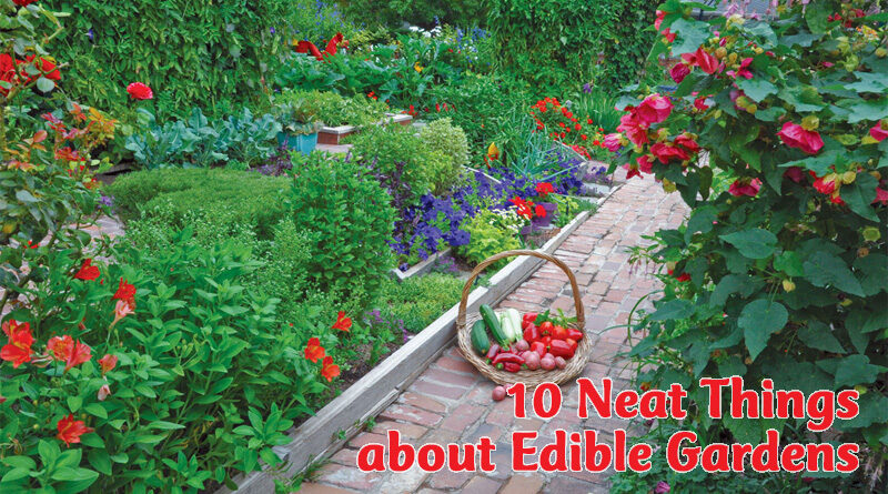 10 neat things about edible gardens