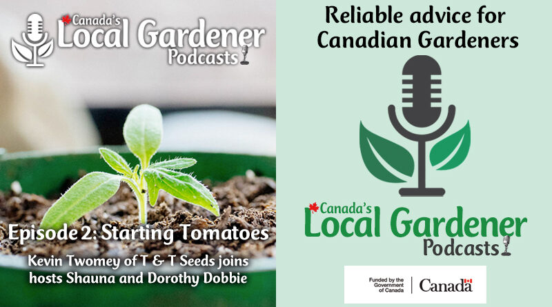 Canada's Local Gardener Podcast episode 2 starting tomatoes from seed