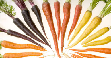 carrots yummy crunchy