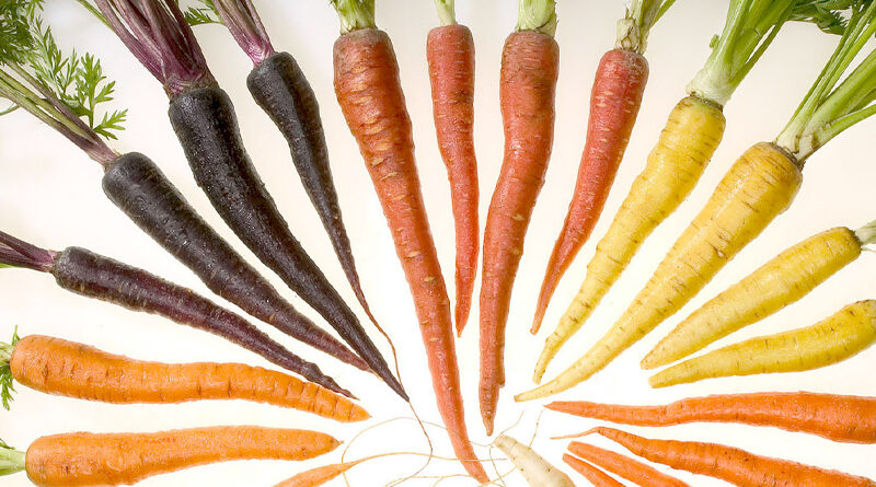 carrots yummy crunchy