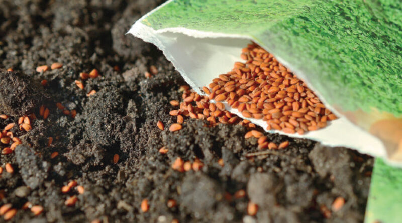seed catalogues
