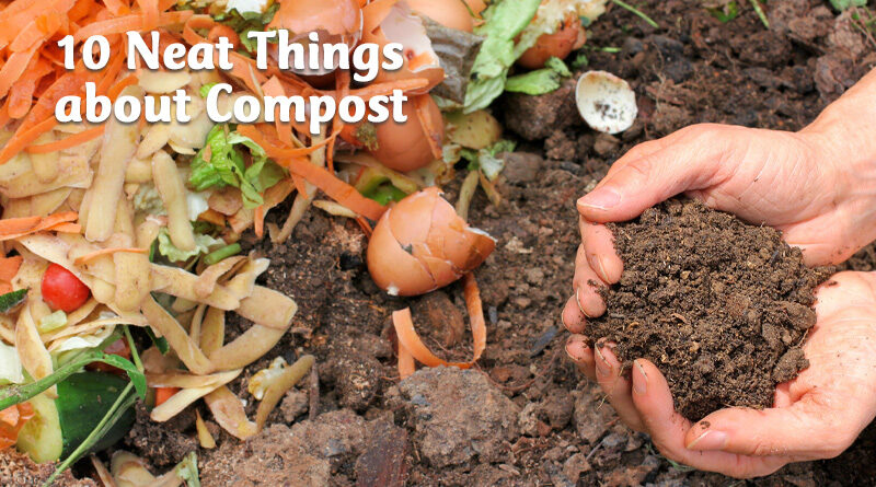 10 neat things about compost