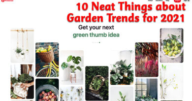 10 neat things about garden trends for 2021