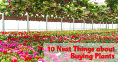 10 neat things about buying plants