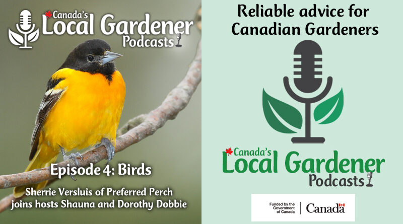 Canada's local gardener podcast episode 4 about birds
