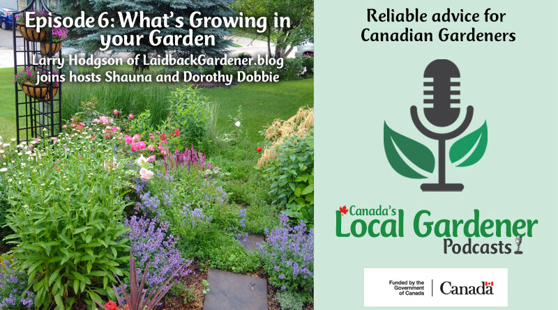 Canada's local gardener podcast episode 6 what's growing in your garden