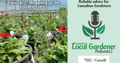 Shopping at the Garden Centre