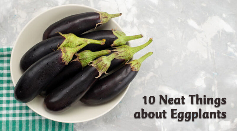 10 neat things about eggplants