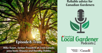 talk about trees