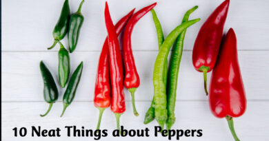 10 neat things about peppers