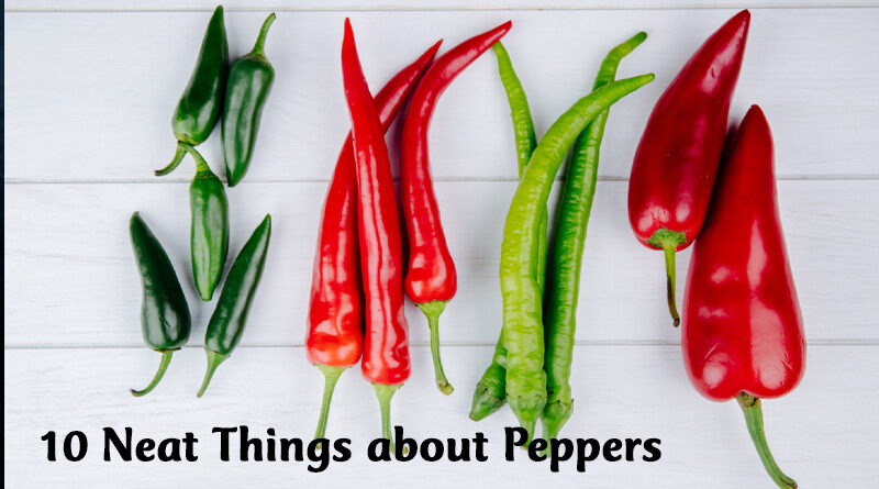10 neat things about peppers